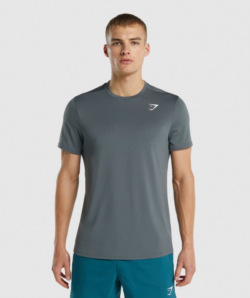 Koszulki Gymshark Arrival Regular Fit Męskie Szare | PL 913PIB